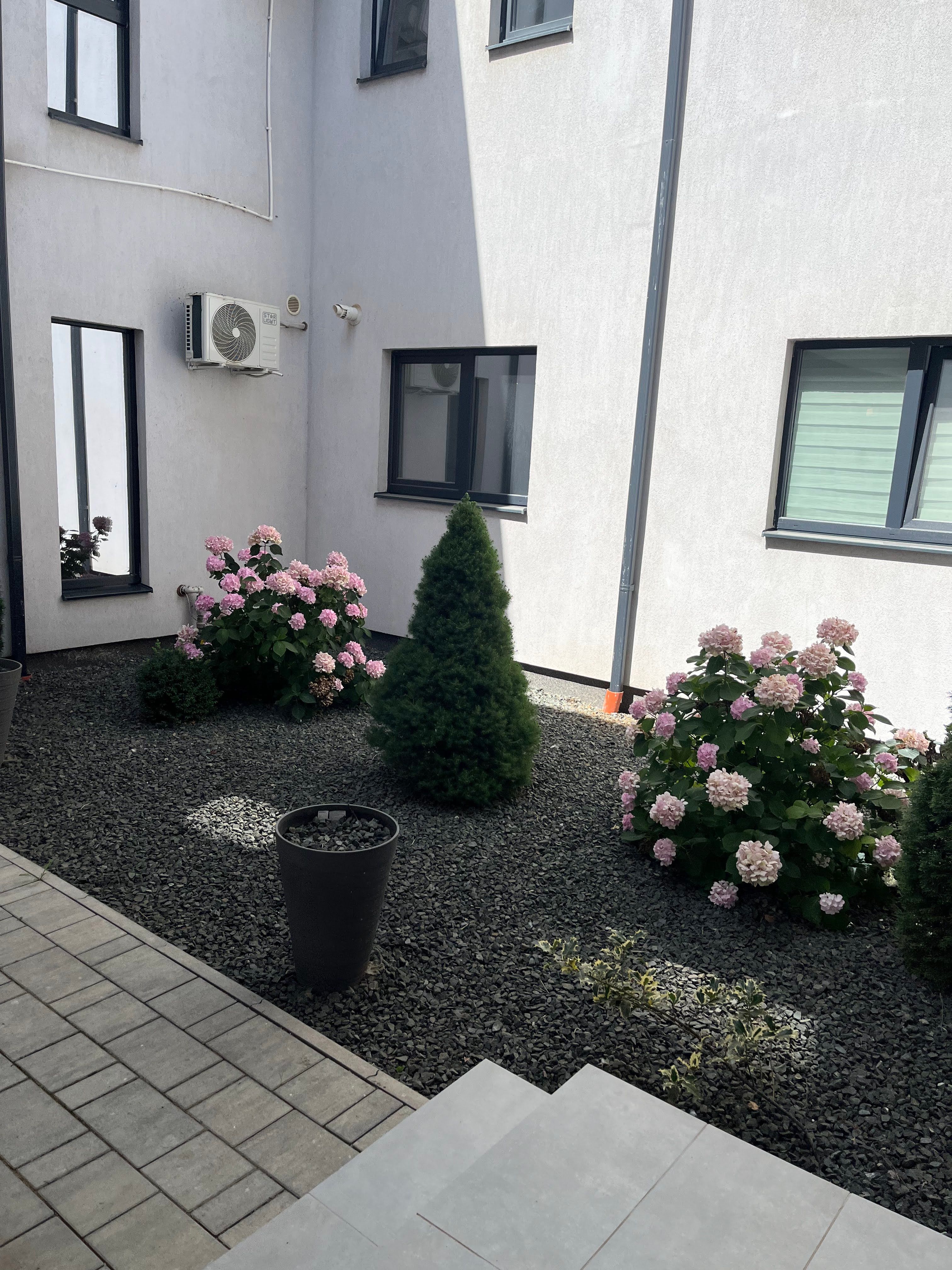 Image 81